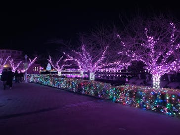東武動物公園に投稿された画像（2024/1/2）