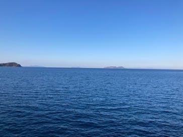 うみたま体験パーク 「つくみイルカ島」に投稿された画像（2024/1/2）