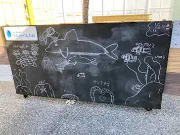 うみたま体験パーク 「つくみイルカ島」に投稿された画像（2024/1/2）