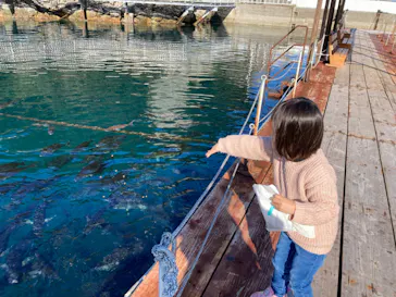 うみたま体験パーク 「つくみイルカ島」に投稿された画像（2024/1/2）