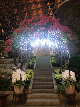 とっとり花回廊に投稿された画像（2024/1/2）