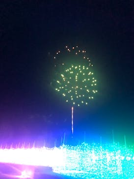 とっとり花回廊に投稿された画像（2024/1/2）