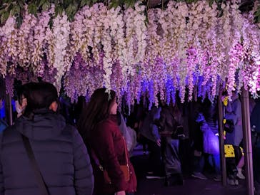 東京メガイルミに投稿された画像（2024/1/2）