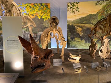 福井県立恐竜博物館に投稿された画像（2024/1/2）