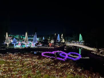 美らヤシパークオキナワ・東南植物楽園に投稿された画像（2024/1/2）