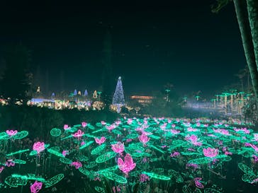 美らヤシパークオキナワ・東南植物楽園に投稿された画像（2024/1/2）