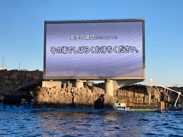 名古屋港水族館に投稿された画像（2024/1/2）