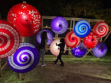 体験王国 むら咲むらに投稿された画像（2024/1/2）