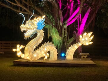 体験王国 むら咲むらに投稿された画像（2024/1/2）