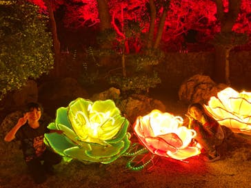 体験王国 むら咲むらに投稿された画像（2024/1/2）