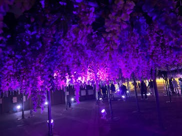 東京メガイルミに投稿された画像（2024/1/2）