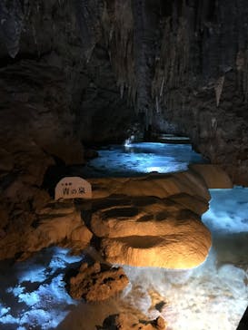 おきなわワールドに投稿された画像（2024/1/2）