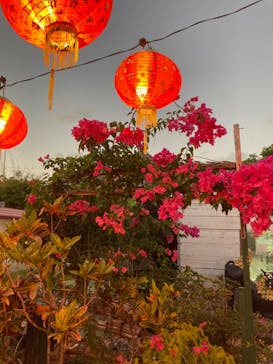 体験王国 むら咲むらに投稿された画像（2024/1/2）