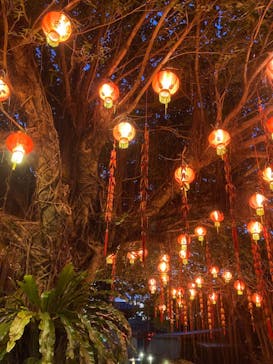 体験王国 むら咲むらに投稿された画像（2024/1/2）