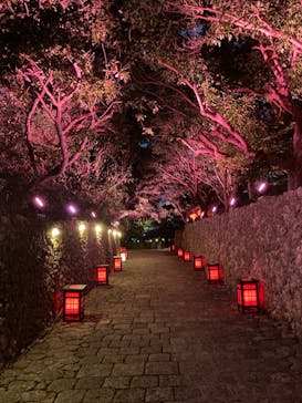 体験王国 むら咲むらに投稿された画像（2024/1/2）