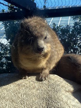 神戸どうぶつ王国に投稿された画像（2024/1/2）