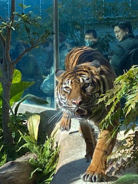 神戸どうぶつ王国に投稿された画像（2024/1/2）