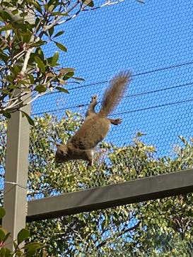 神戸どうぶつ王国に投稿された画像（2024/1/2）