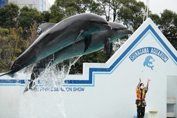 しながわ水族館に投稿された画像（2024/1/2）