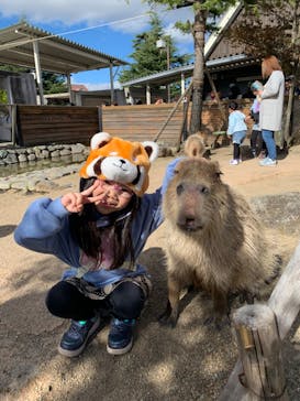 アソビュー！ポイントに投稿された画像（2024/1/2）