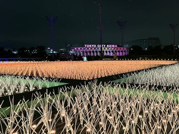 東京メガイルミに投稿された画像（2024/1/2）