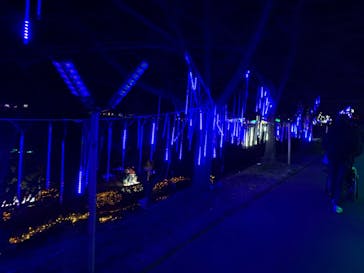 鹿児島イルミナージュに投稿された画像（2024/1/2）