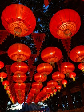 体験王国 むら咲むらに投稿された画像（2024/1/2）