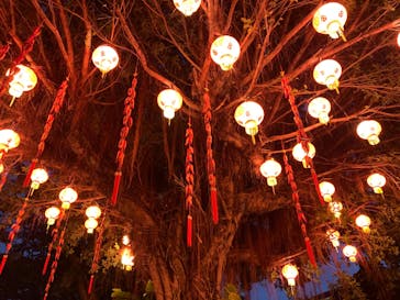 体験王国 むら咲むらに投稿された画像（2024/1/2）