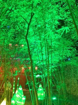 体験王国 むら咲むらに投稿された画像（2024/1/2）