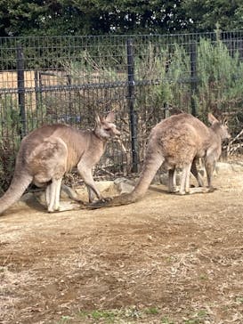 千葉市動物公園に投稿された画像（2024/1/2）