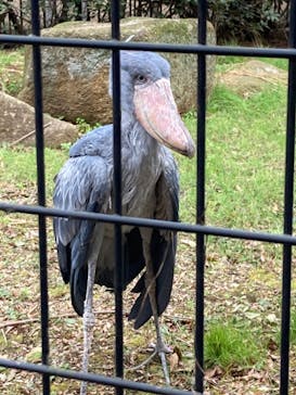 千葉市動物公園に投稿された画像（2024/1/2）