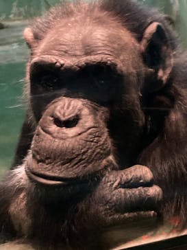 千葉市動物公園に投稿された画像（2024/1/2）