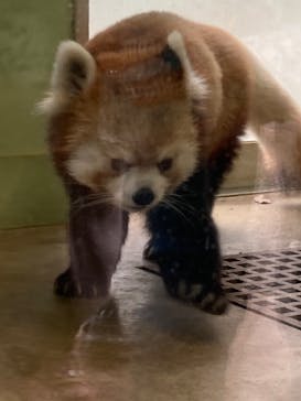 千葉市動物公園に投稿された画像（2024/1/2）