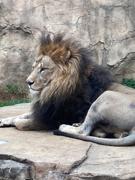 千葉市動物公園に投稿された画像（2024/1/2）