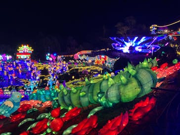 伊豆ぐらんぱる公園に投稿された画像（2024/1/2）