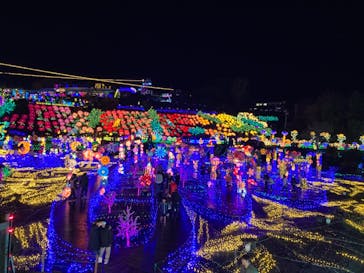 伊豆ぐらんぱる公園に投稿された画像（2024/1/2）