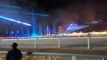 東京メガイルミに投稿された画像（2024/1/2）