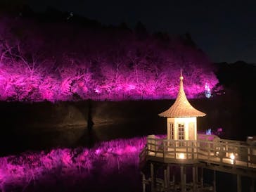 ムーミンバレーパークに投稿された画像（2024/1/2）