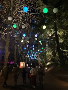 ムーミンバレーパークに投稿された画像（2024/1/2）