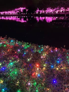 東武動物公園に投稿された画像（2024/1/2）