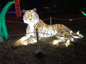 東武動物公園に投稿された画像（2024/1/2）