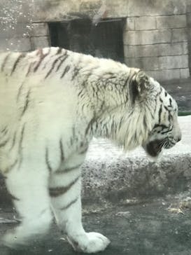 東武動物公園に投稿された画像（2024/1/2）