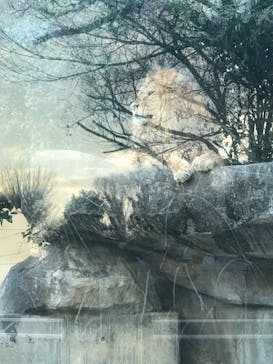 東武動物公園に投稿された画像（2024/1/2）