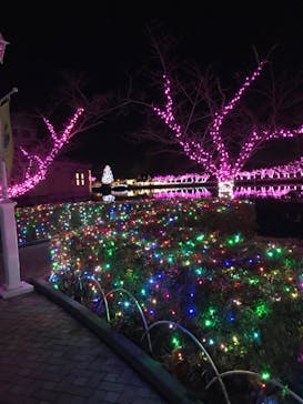 東武動物公園に投稿された画像（2024/1/2）