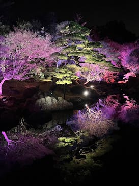 日本庭園　由志園に投稿された画像（2024/1/3）