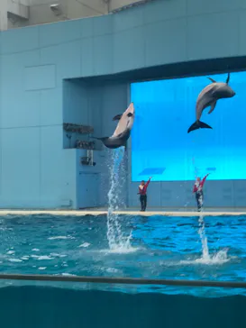 横浜・八景島シーパラダイスに投稿された画像（2024/1/3）