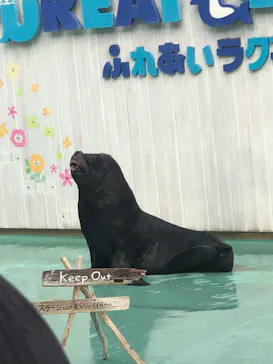 横浜・八景島シーパラダイスに投稿された画像（2024/1/3）