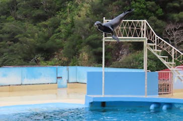 下田海中水族館に投稿された画像（2024/1/3）