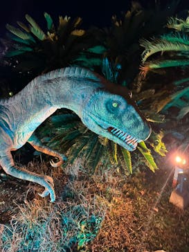 伊豆ぐらんぱる公園に投稿された画像（2024/1/3）