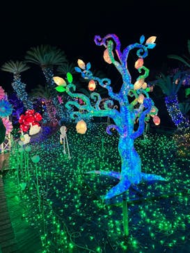 伊豆ぐらんぱる公園に投稿された画像（2024/1/3）